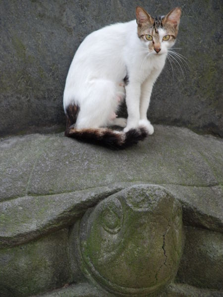 A temple guardian...