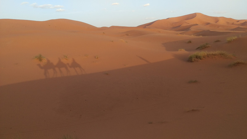 Cestou do pouště.