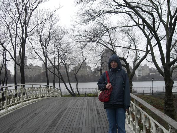 Central Park in the rain