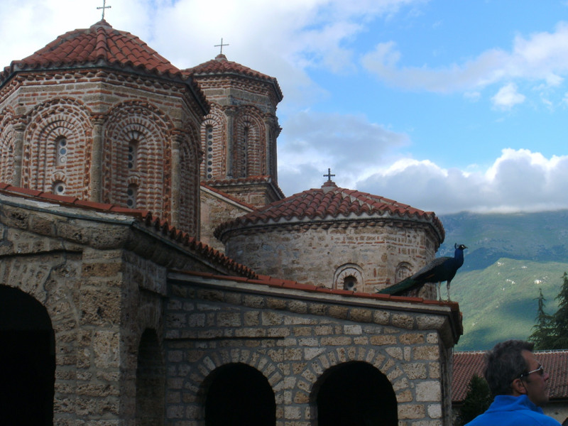 Sveti Naum - klooster - met zijn pauwen