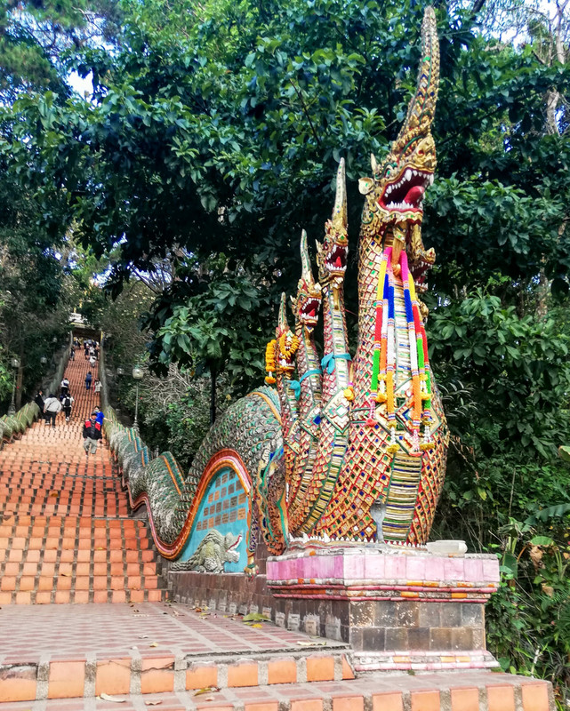 Dragon stairs to Doi Suthep