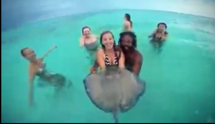 Holding a sting ray