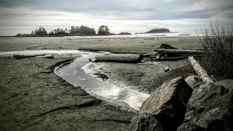 Chesterman Beach