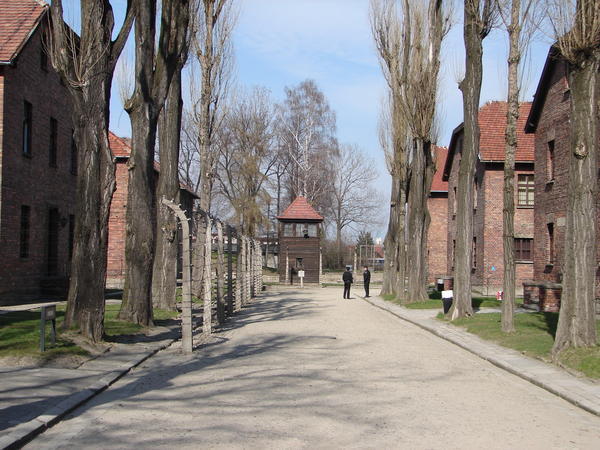 Barracks and watchtower Auschwitz