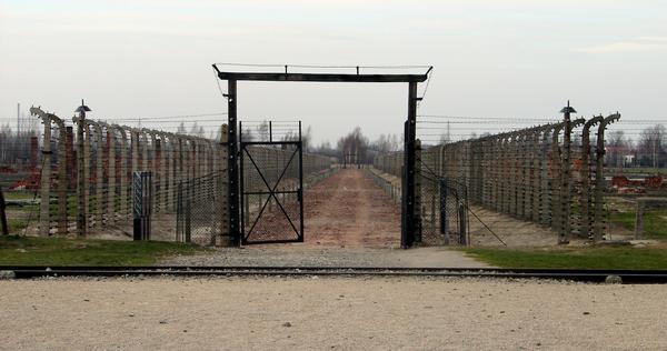 Fences at Bikenau