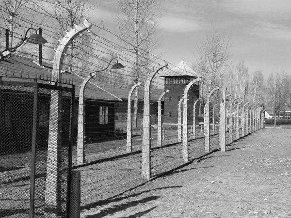 Birkenau Fences