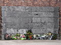 Auschwitz - firing squad wall