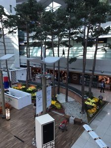 International Incheon Airport (Seoul)