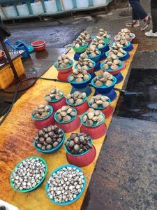 Marché au Poissons / Fish Market 