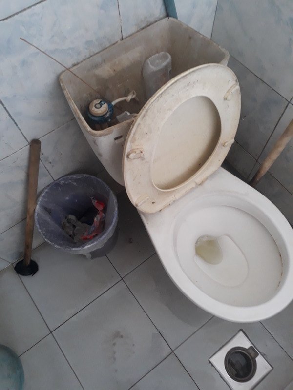 Multi Purpose toilet and rubbing bin