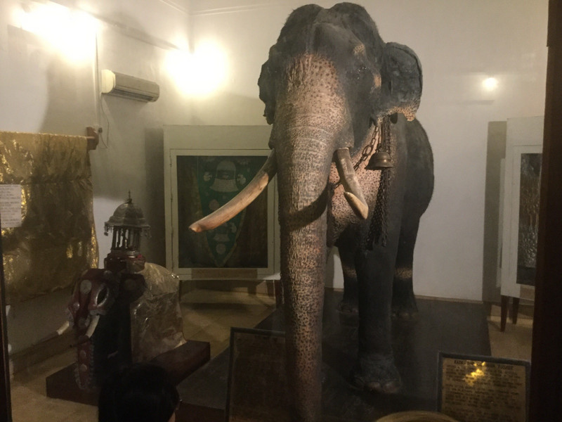 Stuffed temple elephant