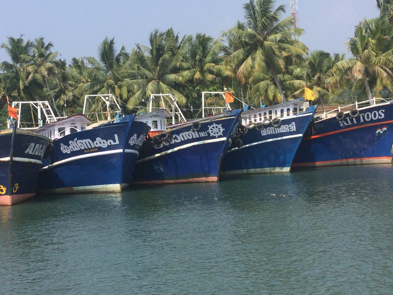 Fleet of fishing boats