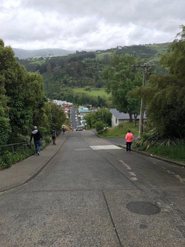 Steepest street- picture doesn't do it justice