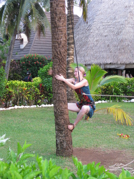 Anne climbing coconut tree