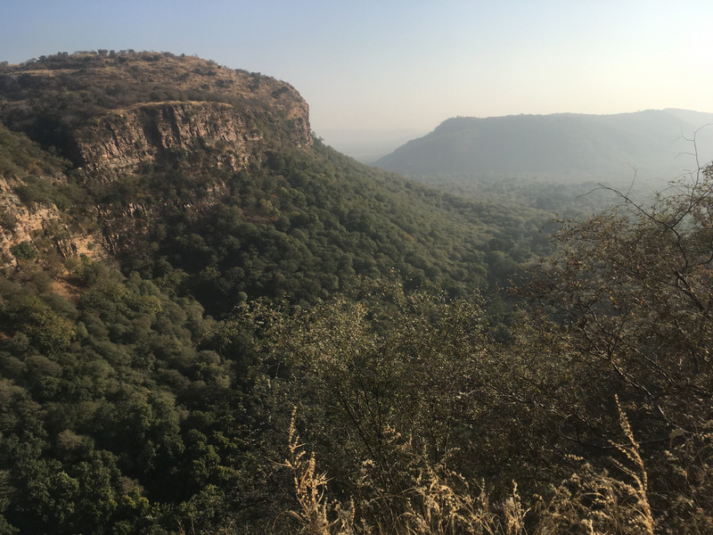 Looking out into ranthambore.