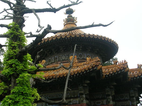 In the Imperial Gardens, Forbidden city 