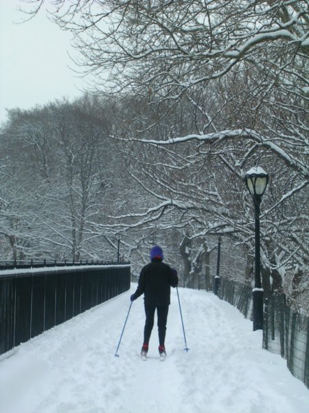 Skiiing in Central Park