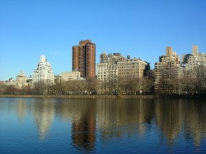 In Central Park