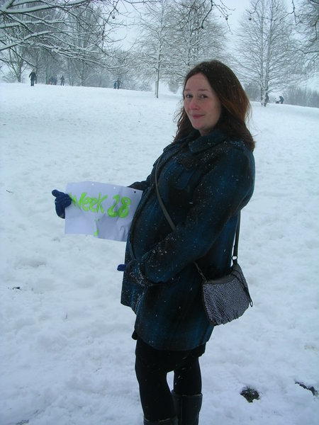 28 weeks - Primrose Hill in the snow