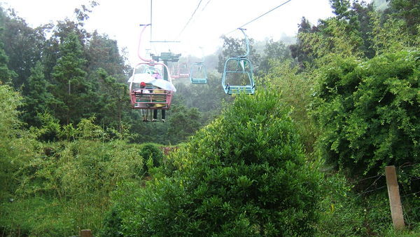 1st form of cable car