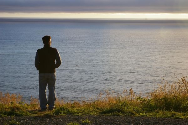 Contemplation and Whale Watching