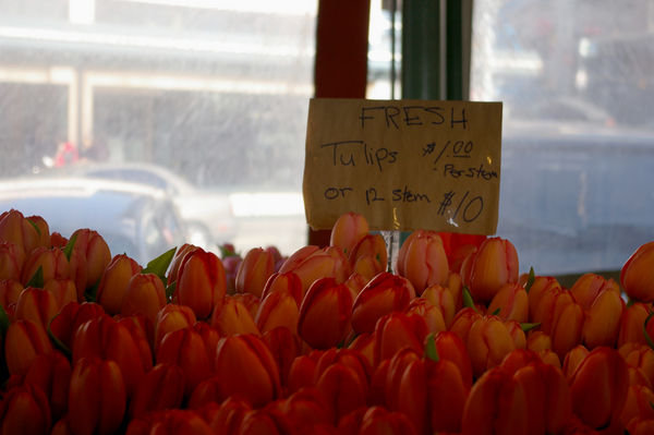 Tulips at Pike Place Market