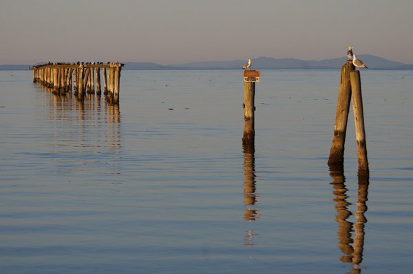 Off the Sequim-Dungeness Coast