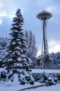 Happy Holidays from Seattle!