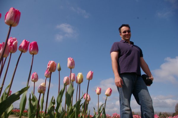 Giant Andras Among the Tulips