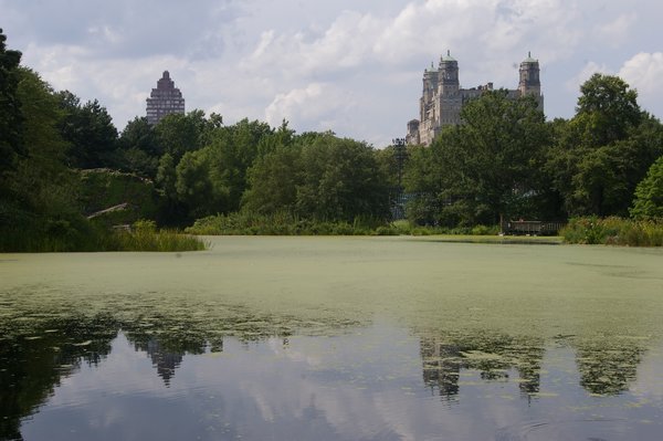 Turtle Pond in Central Park
