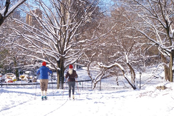 Cross-Country Skiing in Central Park