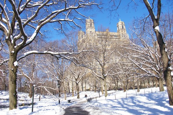 Winter Scene from Central Park 