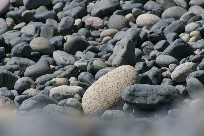 Pebble Strewn Shores
