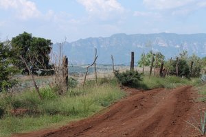 Rural road outside Tequila