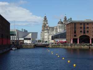 Albert dock and the Liver Building