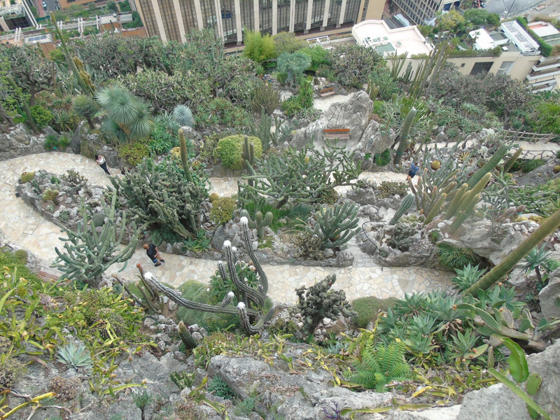 The Jardin Exotique winds down the side of a steep hill