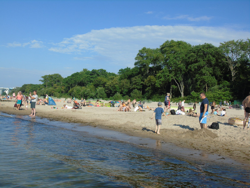 The Kołobrzeg beach shows the always present Baltic coastal tree band