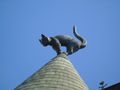 A cheeky cat on the top of one of the roofs