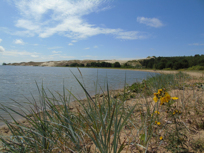  The dunes overlook a very attractive bay