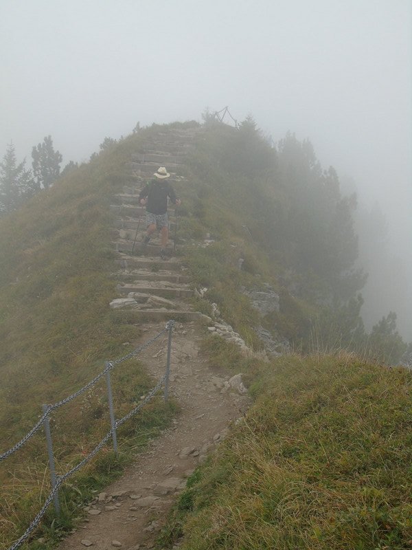 The misty ridge path