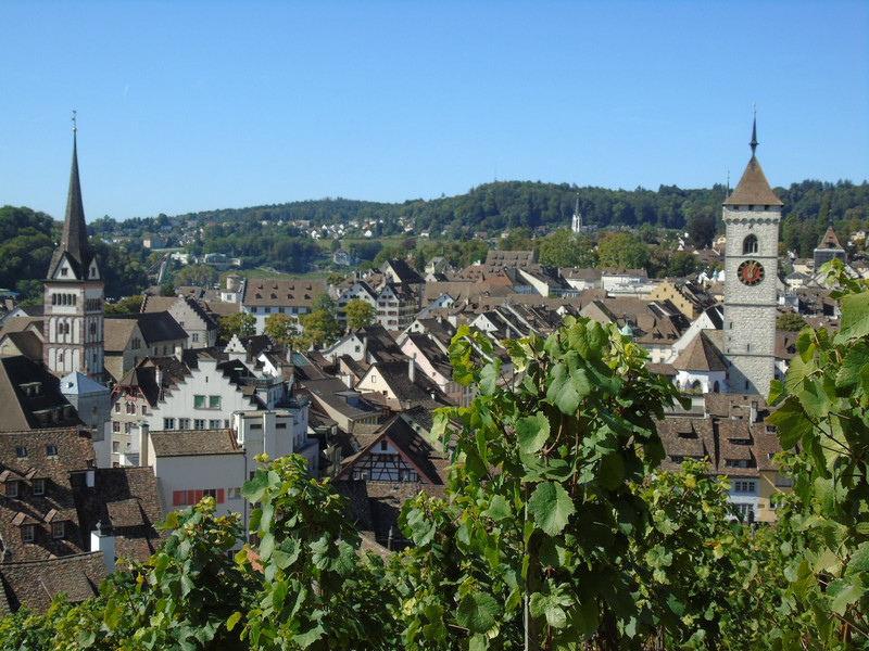 Overlooking the town form the vine covered castle hill (the castle was covered in scaffold)
