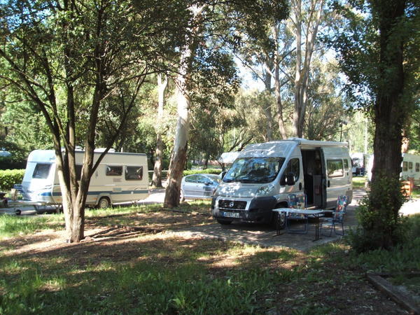 Libson campsite with pleasant shade  