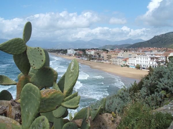 Sperlonga north beach. There was graffiti carved into the cactus in the forground