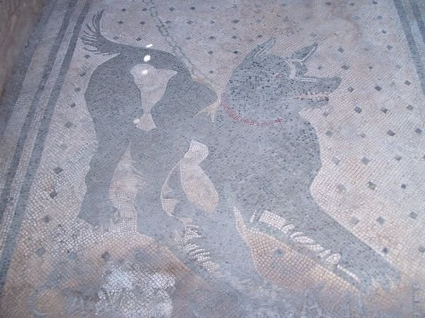 Beware of the dog mosaic