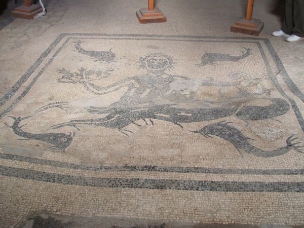 Floor mosaic of Triton with dolphins in men’s public baths