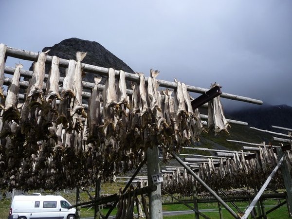 Cod is caught in the winter and dried on these racks