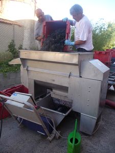 Extracting the grape juice at the vineyard we stayed at