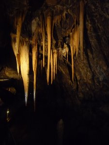 Some of the many delicate stalactites