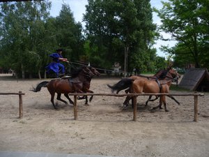 One rider and five horses at speed