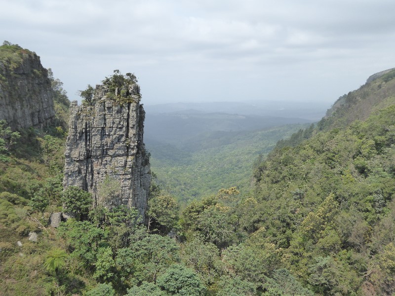 A pinnacle in the forested escarpment